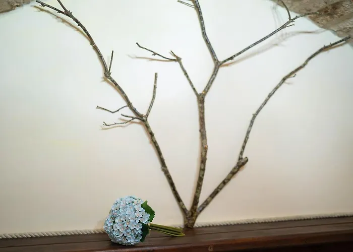 Le Dimore Di Talos Medea ルーヴォ・ディ・プーリア