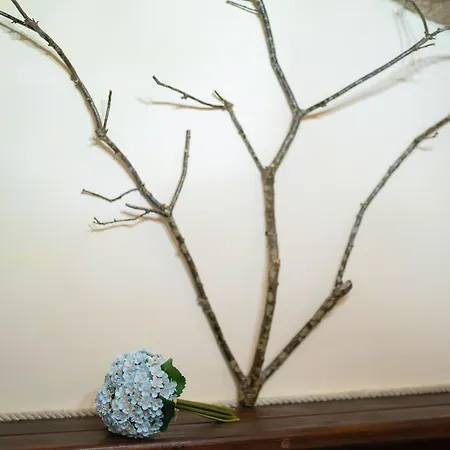 Le Dimore Di Talos Medea Ruvo di Puglia